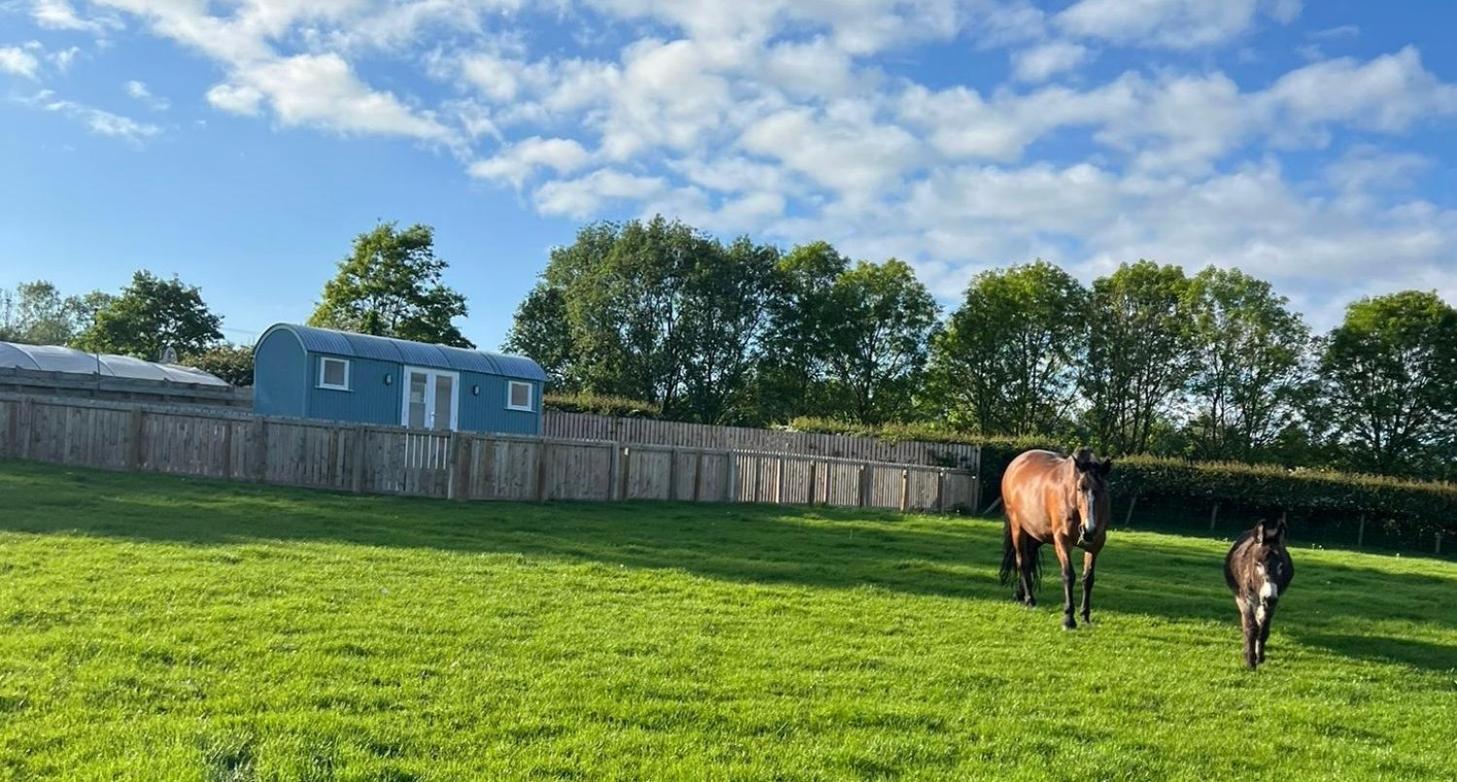 Wee Shepherds Hut Maybole Zewnętrze zdjęcie