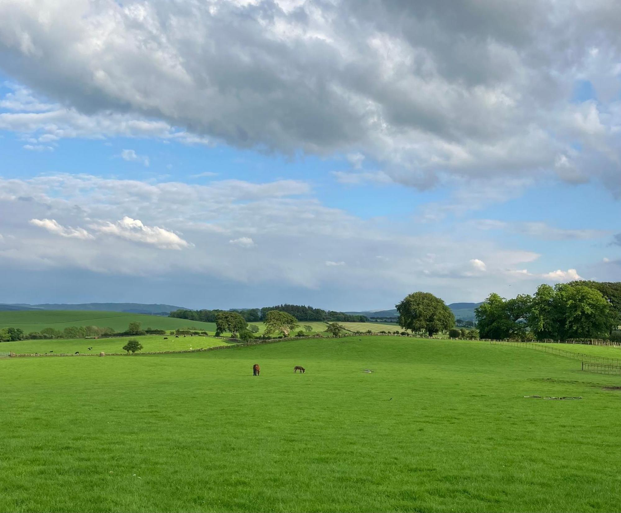 Wee Shepherds Hut Maybole Zewnętrze zdjęcie